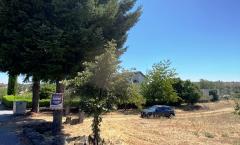 LOTE 1000M2 MORADIA TERREA GUARDA