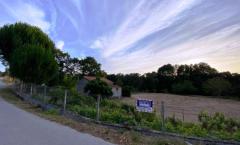 Terreno com 6.800m2 Lajeosa Mondego 