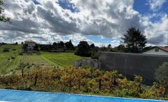 lote 10.000m2 Guarda oportunidade 