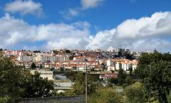lote 10.000m2 Guarda oportunidade 