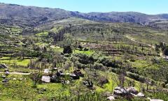 QUINTA SERRA DA ESTRELA
