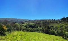 QUINTA SERRA DA ESTRELA