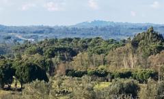 Moradia para venda Vila Nova Tazem Gouveia 55.000€
