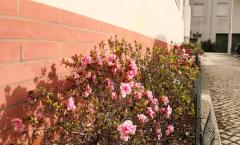 T2 para Venda em Abraveses Viseu Bom Preço